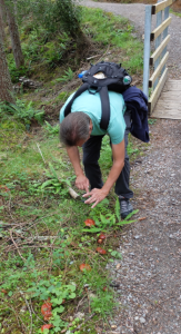 Screen Shot 2015-10-17 at 19.56.51