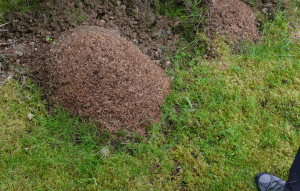 Screen Shot 2015-10-23 at 17.45.30