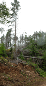 Screen Shot 2015-10-23 at 17.45.50