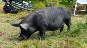 Screen Shot 2015-10-31 at 22.56.42