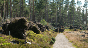 Screen Shot 2015-10-31 at 22.58.10